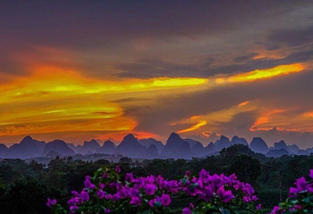 桂林花海景区第 17 张图片