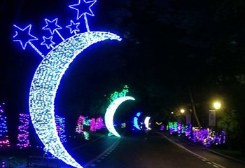沈阳世博园国际文化彩灯节第 5 张图片