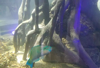 海昌海洋探索馆第 4 张图片