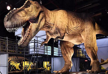 DINOLAB恐龙实验室第 5 张图片
