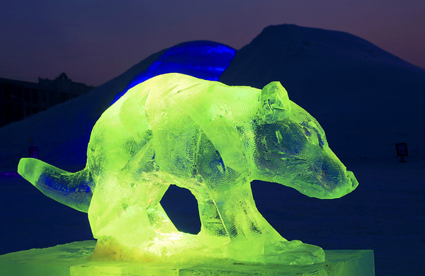 【活动票】冰源世纪冰雪王国成人票