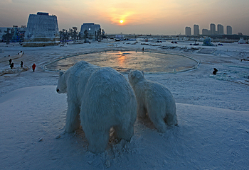 冰源世纪冰雪王国第 44 张图片