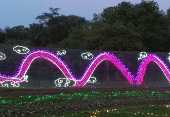 沈阳世博园国际文化彩灯节第 2 张图片