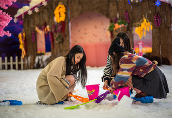 飘雪世界第 12 张图片