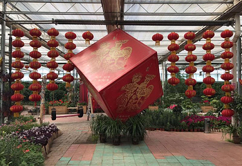 北大荒鹤城鲜花港第 9 张图片