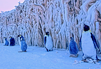 冰源世纪冰雪王国第 40 张图片