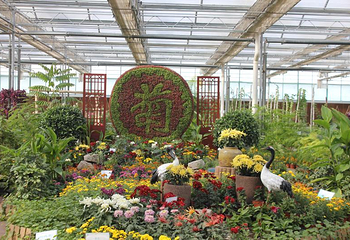 北大荒鹤城鲜花港第 8 张图片