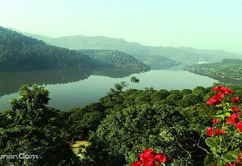 大岭山森林公园第 6 张图片