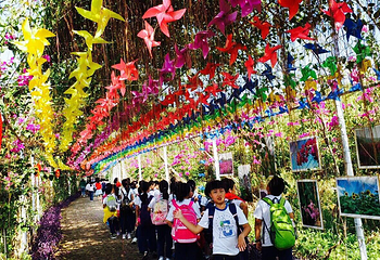 桂林花海景区第 19 张图片