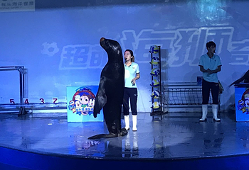 包头海洋世界第 5 张图片