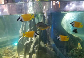 海昌海洋探索馆第 6 张图片