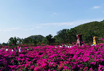 桂林花海景区第 13 张图片
