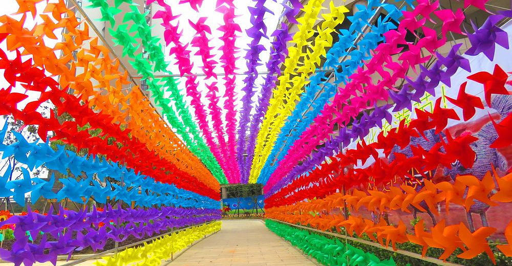 绵阳国际兰花主题公园花海风车节(成人票)