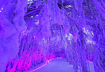 冰源世纪冰雪王国第 34 张图片