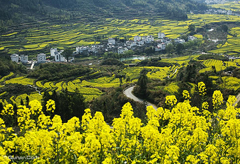 思溪延村第 10 张图片