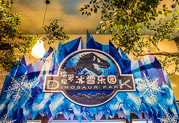 客天下梦幻冰雪乐园第 9 张图片