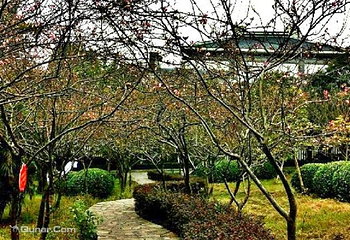 重庆平顶山公园第 1 张图片