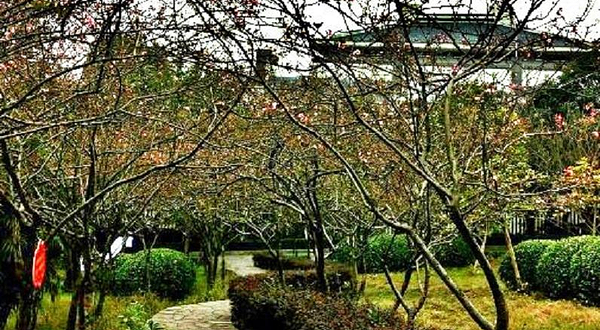 重庆平顶山公园