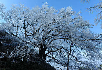桂林天湖冰雪世界滑雪场第 18 张图片