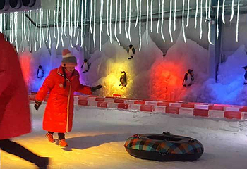 衢州三毛滑雪乐园第 2 张图片