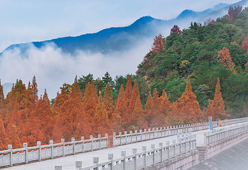 金华双龙风景旅游区第 42 张图片
