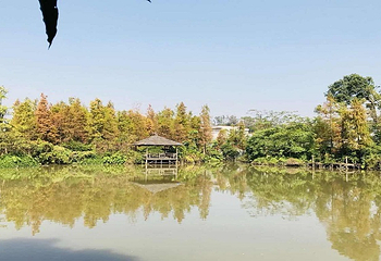 大宗堂十里莲江第 12 张图片