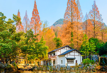金华双龙风景旅游区第 48 张图片