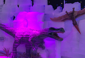 客天下梦幻冰雪乐园第 6 张图片
