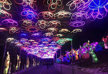 沈阳奥体冰雪嘉年华第 26 张图片