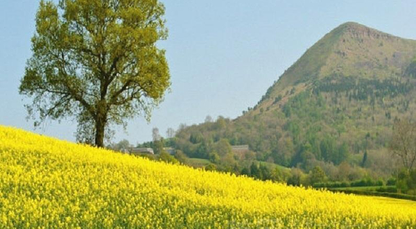 野渡山野艺术庄园