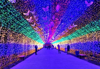 花博公园第 6 张图片