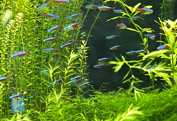 海之语海洋世界第 21 张图片