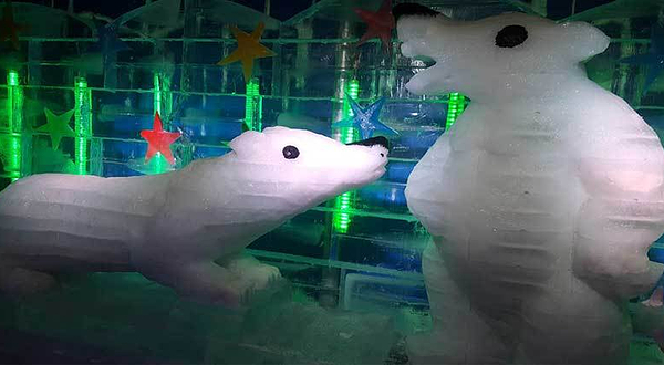 衢州三毛滑雪乐园