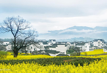 思溪延村第 4 张图片