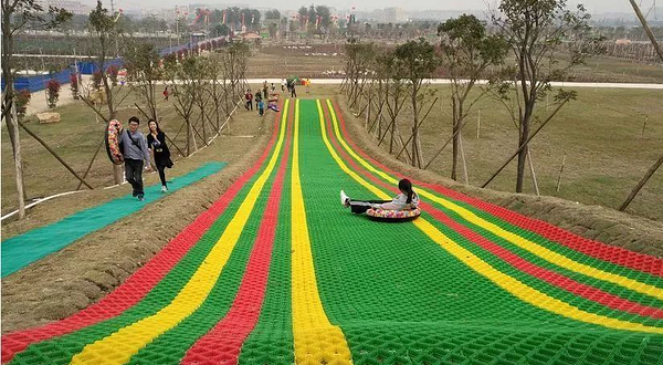 中山德华湿地花海