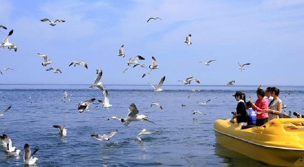 豪铂海尚帆船俱乐部