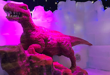 客天下梦幻冰雪乐园第 5 张图片