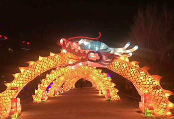 沈阳奥体冰雪嘉年华第 51 张图片