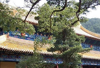 九龙殿第 1 张图片