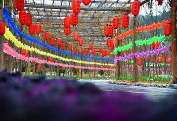 花溪谷第 3 张图片