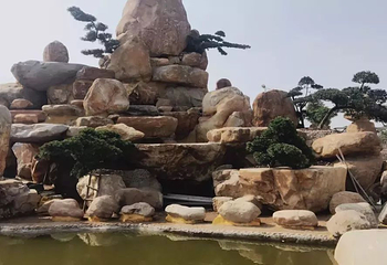 中山德华湿地花海第 5 张图片
