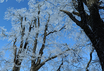桂林天湖冰雪世界滑雪场第 16 张图片