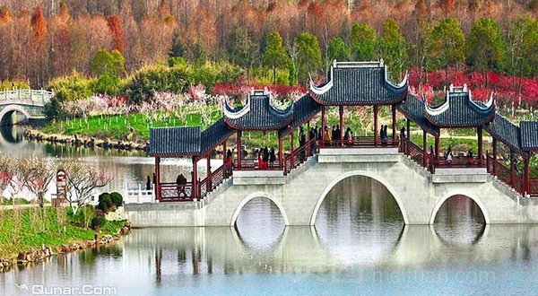 海岛国家森林公园