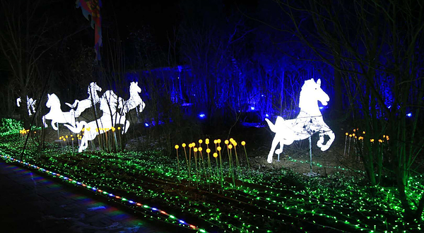 保定首届国际灯光节