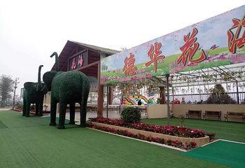 中山德华湿地花海第 7 张图片