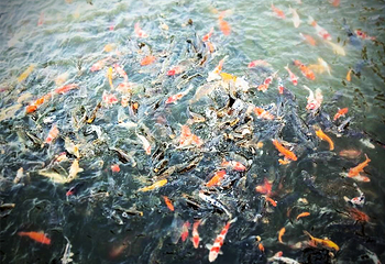 水云涧温泉旅游度假区第 5 张图片