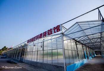 炫彩万木源第 30 张图片