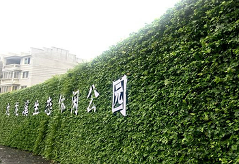 九龙溪生态休闲公园第 15 张图片