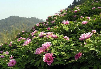 恺之峰旅游区第 18 张图片