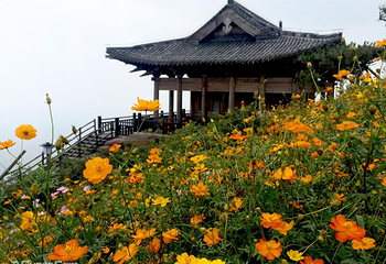 万安山山顶公园第 20 张图片